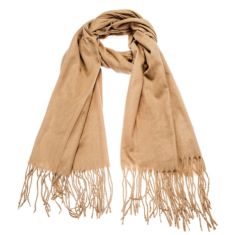 4.995.7007CAMEL.jpg